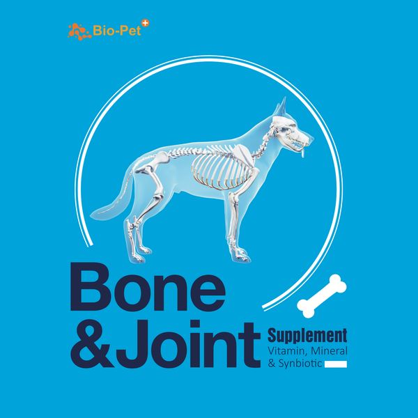 مکمل مفاصل و استخوان سگ بایو پت مدل Bone and Joint وزن 200 گرم