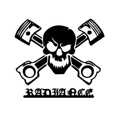  برچسب بدنه خودرو طرح skull کد S01