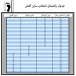 دمپایی مردانه کد WH.1340