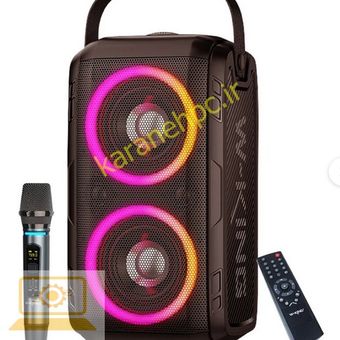 اسپیکر بلوتوثی قابل حمل دبلیو-کینگ مدل T9