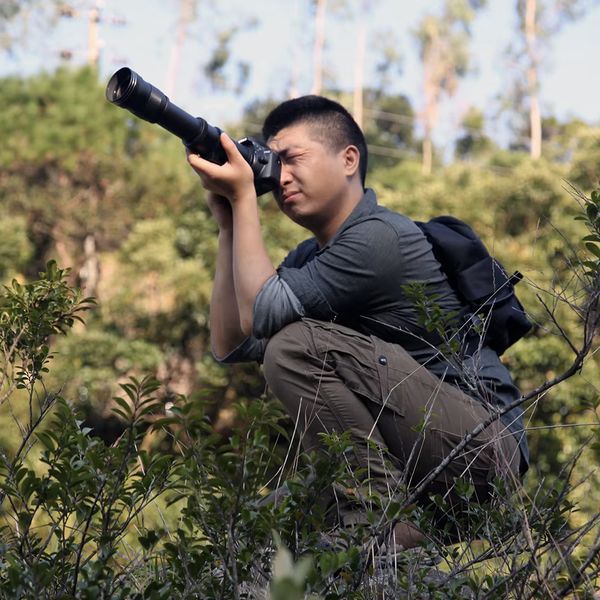 لنز دوربین لایت داو مدل Super Telephoto Zoom 420-800mm MF f8.3~16 مناسب برای دوربین های کانن