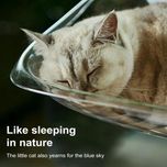 جای خواب گربه مدل شیشه ای مکشی window Bed