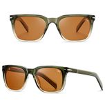 عینک آفتابی ویفرر (Wayfarer) آلبرت وگ مدل S31127C2 Acetate Avantgarde Visionary