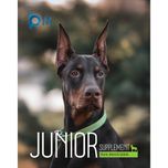 مکمل سگ بالغ و جوان بایو پت مدل Junior وزن 400 گرم