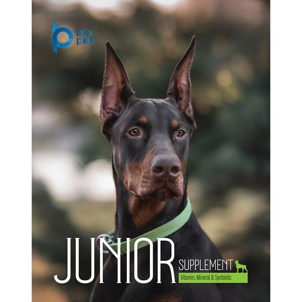 مکمل سگ بالغ و جوان بایو پت مدل Junior وزن 400 گرم