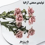 آینه دیواری آزالیا مدل دفرمه DF2BC4060