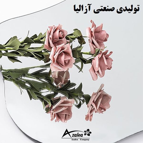آینه دیواری آزالیا مدل دفرمه DF2BC4060