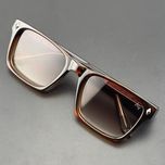 عینک آفتابی آلبرت وگ مدل SZ8102 Brunette Tawny