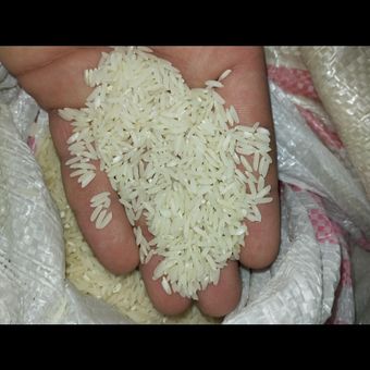 برنج طارم هاشمی کشت دوم 10 کیلویی