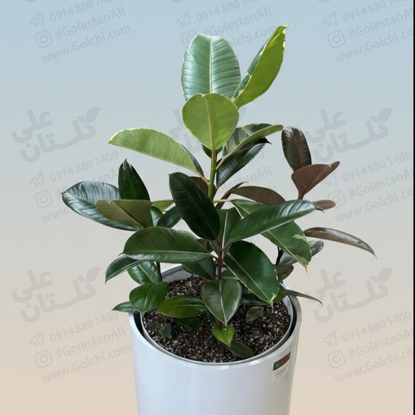 گلدان فلزی استوانه رنگ کوره ای چرخدار