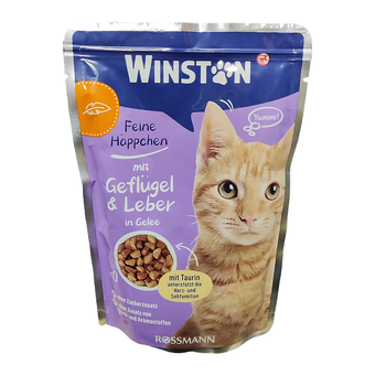 پوچ گربه وینستون مرغ و جگر