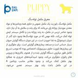 مکمل توله سگ بایو پت مدل Puppy وزن 400 گرم