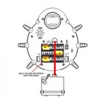اسباب بازی مدل کفشدوزک چرخ دنده ای موزیکال