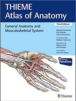 General Anatomy and Musculoskeletal System (THIEME Atlas of Anatomy) 2020