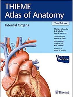 2020 Internal Organs THIEME Atlas of Anatomy