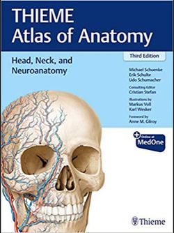 HEAD NECK AND NEUROANATOMY THIEME ATLAS OF ANATOMY 2020