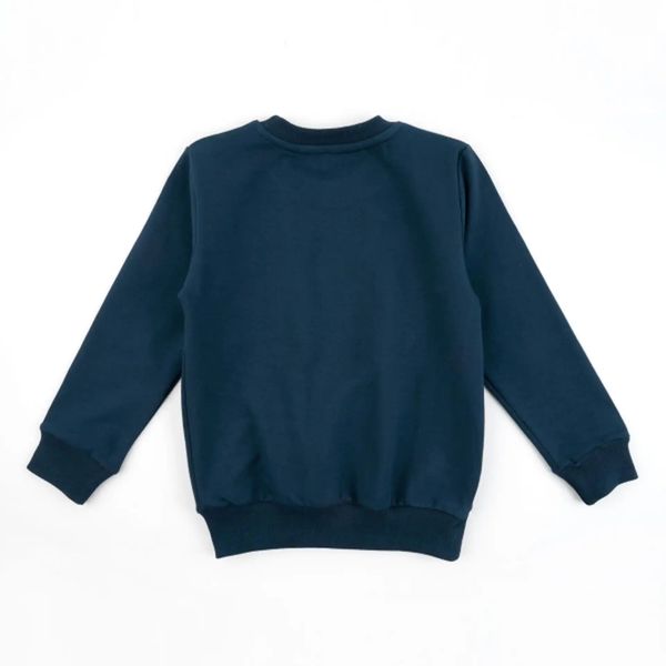 سویشرت آستین بلند پسرانه مدل MDSS-CG6248