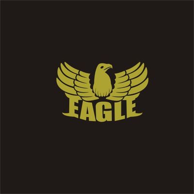 برچسب بدنه موتورسیکلت لیزارد مدل فانتزی طرح EAGLE  کد LZD-1024*509