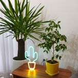 چراغ نئونی رومیزی و دیواری طرح کاکتوس