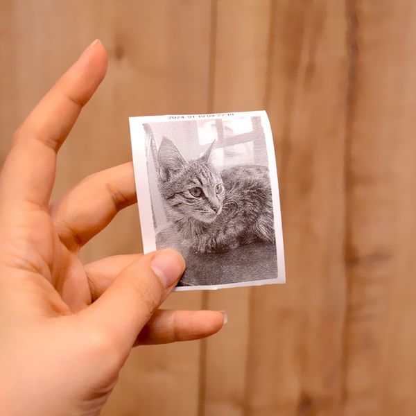 پرینتر حرارتی