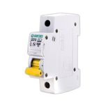 فیوز مینیاتوری تک فاز 25 آمپر دنا الکتریک ایرانیان مدل C25-6KA