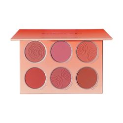 پالت رژ گونه مات شگلم مدل Floral Flush شماره Multicolor