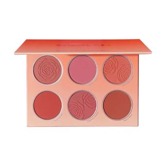 پالت رژ گونه مات شگلم مدل Floral Flush شماره Multicolor