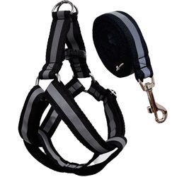 قلاده کتفی و بند قلاده سگ مدل شبرنگ 3.7سانتی متری