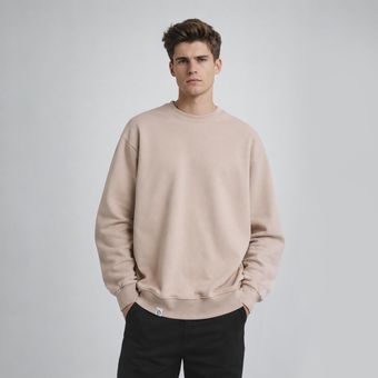 سویشرت مردانه باینت مدل 922-8