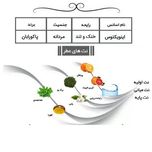 ادوپرفیوم مردانه ایفوریا مدل اینوکتوس پاکو رابان با رایحه خنک حجم 100 میلیلیتر