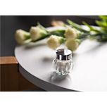 نمک پاش میس گلس مدل تپل بسته 2 عددی