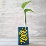 گلدان دکوری طرح هیچ