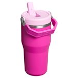 تراول ماگ استنلی مدل IceFlow Flip Straw Tumbler 2.0 گنجایش 0.59 لیتر