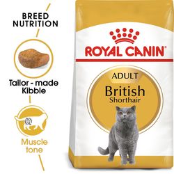 غذای خشک گربه بریتیش رویال کنین مدل British Shorthair وزن 10 کیلوگرم