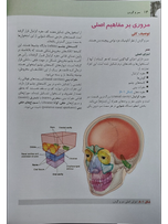 آناتومی گری جلد3 سر و گردن