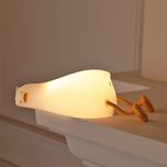 چراغ خواب اردک