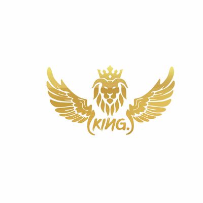 برچسب بدنه خودرو رادیانس طرح LionFly کد B39