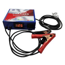 شارژر باتری خودرو مدل TES-1000-9A