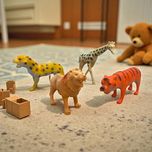 فیگور مدل حیوانات وحشی مجموعه 4 عددی