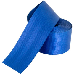 BlueGuard
