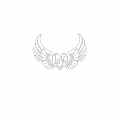 برچسب بدنه خودرو رادیانس طرح LoveFly کد B49