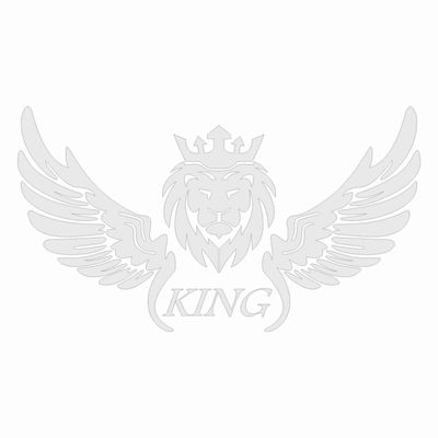 برچسب بدنه خودرو طرح بال کد SF04