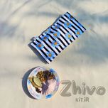 بالشت چشم بابونه راه راه Striped Chamomile