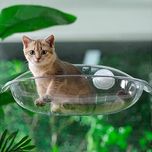جای خواب گربه مدل پنجره ای