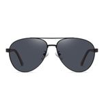 عینک آفتابی مردانه آلبرت وگ مدل 6319C04-P101 Polarized Avantgarde Visionary