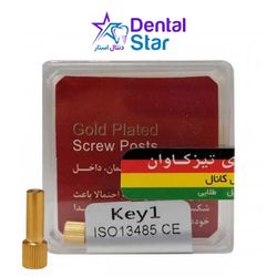 آچار پین داخل کانال تیزکاوان Teeskavan Canal Pin Wrench