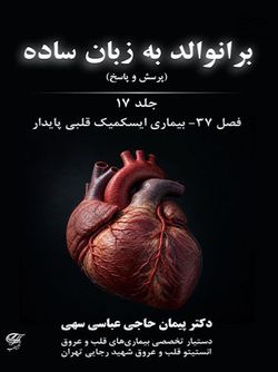 برانوالد به زبان ساده جلد 17 پرسش و پاسخ