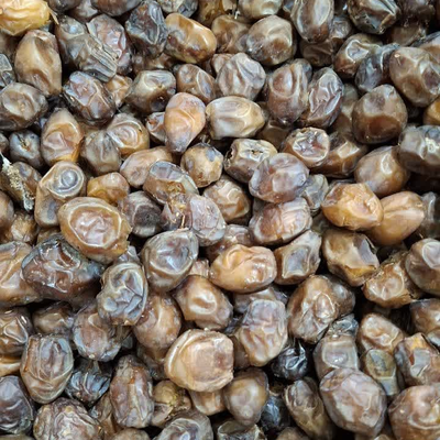 خرمای خاصویی ممتاز