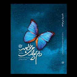 کتاب دلم پرواز می خواهد