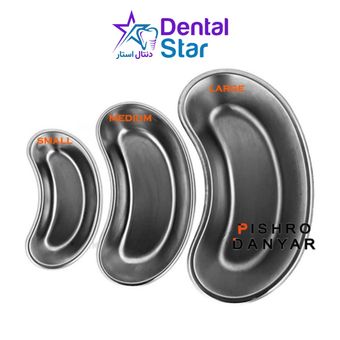 رسیور پیشرو دنت (DD-225-065) Pishro Dent kIDNY